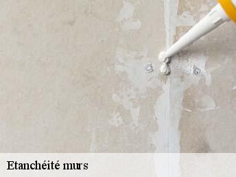 Etanchéité murs  83600