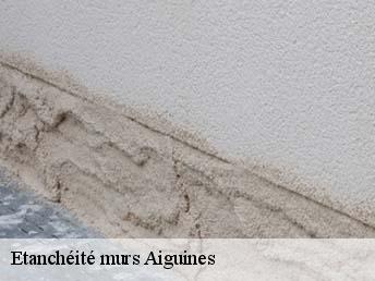 Etanchéité murs  aiguines-83630 