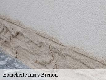 Etanchéité murs  brenon-83840 