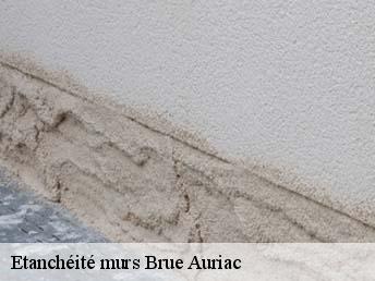 Etanchéité murs  brue-auriac-83119 