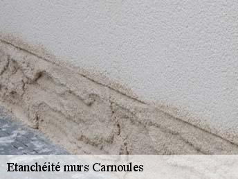 Etanchéité murs  carnoules-83660 