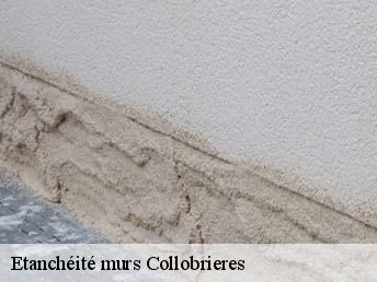 Etanchéité murs  collobrieres-83610 