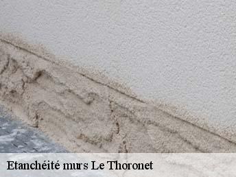 Etanchéité murs  le-thoronet-83340 