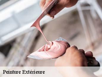 Peinture Extérieure