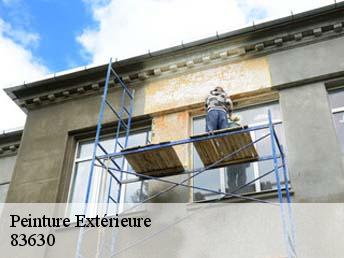 Peinture Extérieure  83630