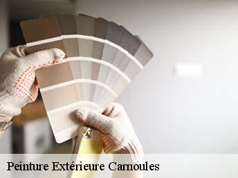 Peinture Extérieure