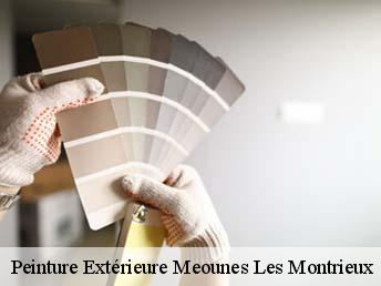 Peinture Extérieure