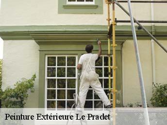 Peinture Extérieure  83220