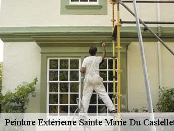 Peinture Extérieure  83330