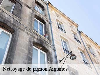 Nettoyage de pignon  aiguines-83630 