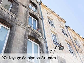 Nettoyage de pignon  artigues-83560 