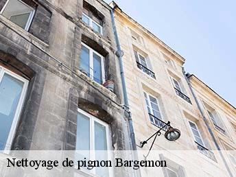 Nettoyage de pignon  bargemon-83830 