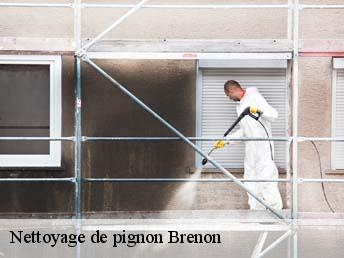 Nettoyage de pignon  83840