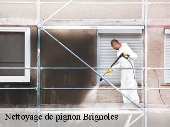 Nettoyage de pignon  83170