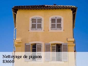 Nettoyage de pignon  83660