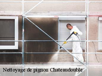 Nettoyage de pignon  83300