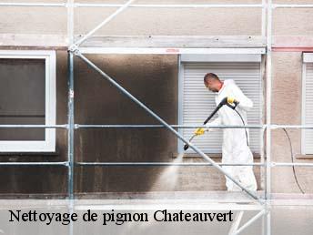 Nettoyage de pignon  83670