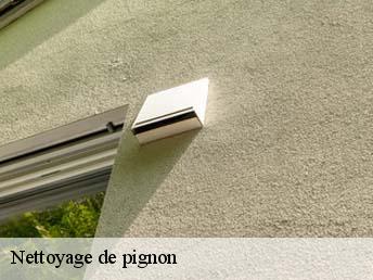 Nettoyage de pignon