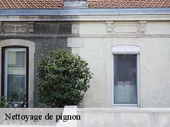 Nettoyage de pignon  83330