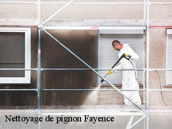 Nettoyage de pignon  83440