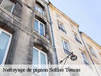 Nettoyage de pignon  sollies-toucas-83210 