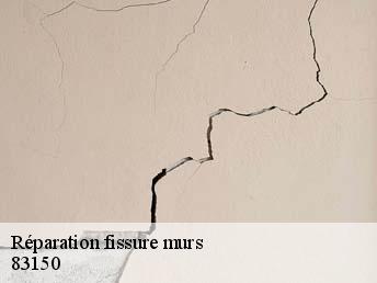 Réparation fissure murs  83150