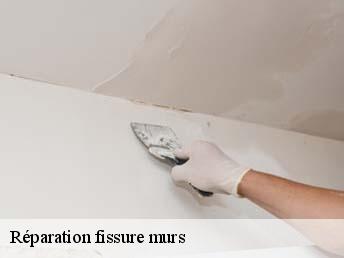 Réparation fissure murs  83330